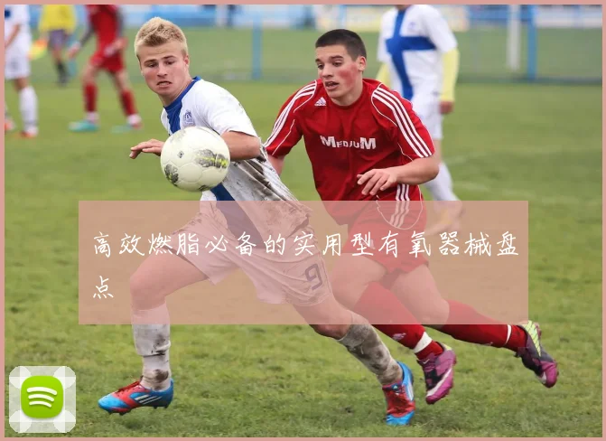 高效燃脂必备的实用型有氧器械盘点