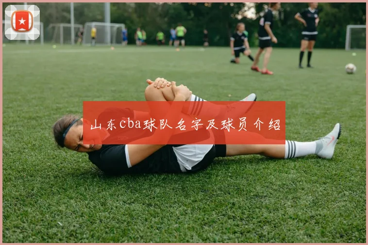 山东cba球队名字及球员介绍
