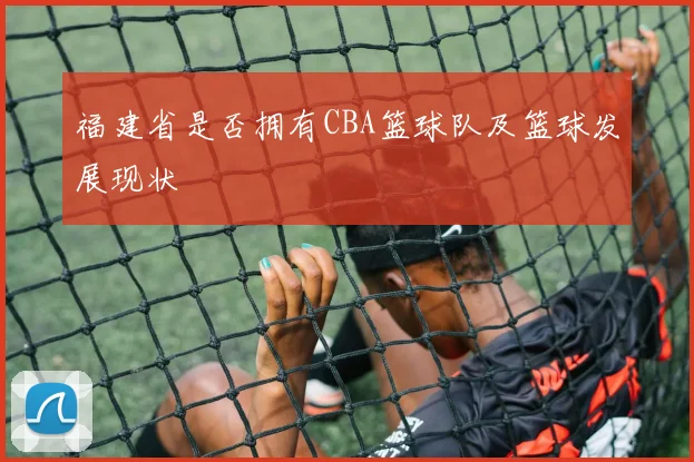 福建省是否拥有CBA篮球队及篮球发展现状