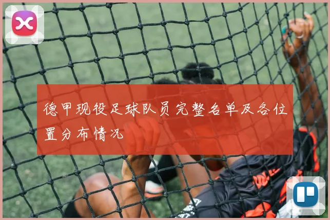 德甲现役足球队员完整名单及各位置分布情况