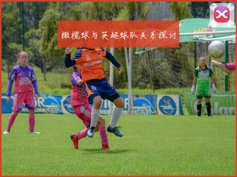 橄榄球与英超球队关系探讨